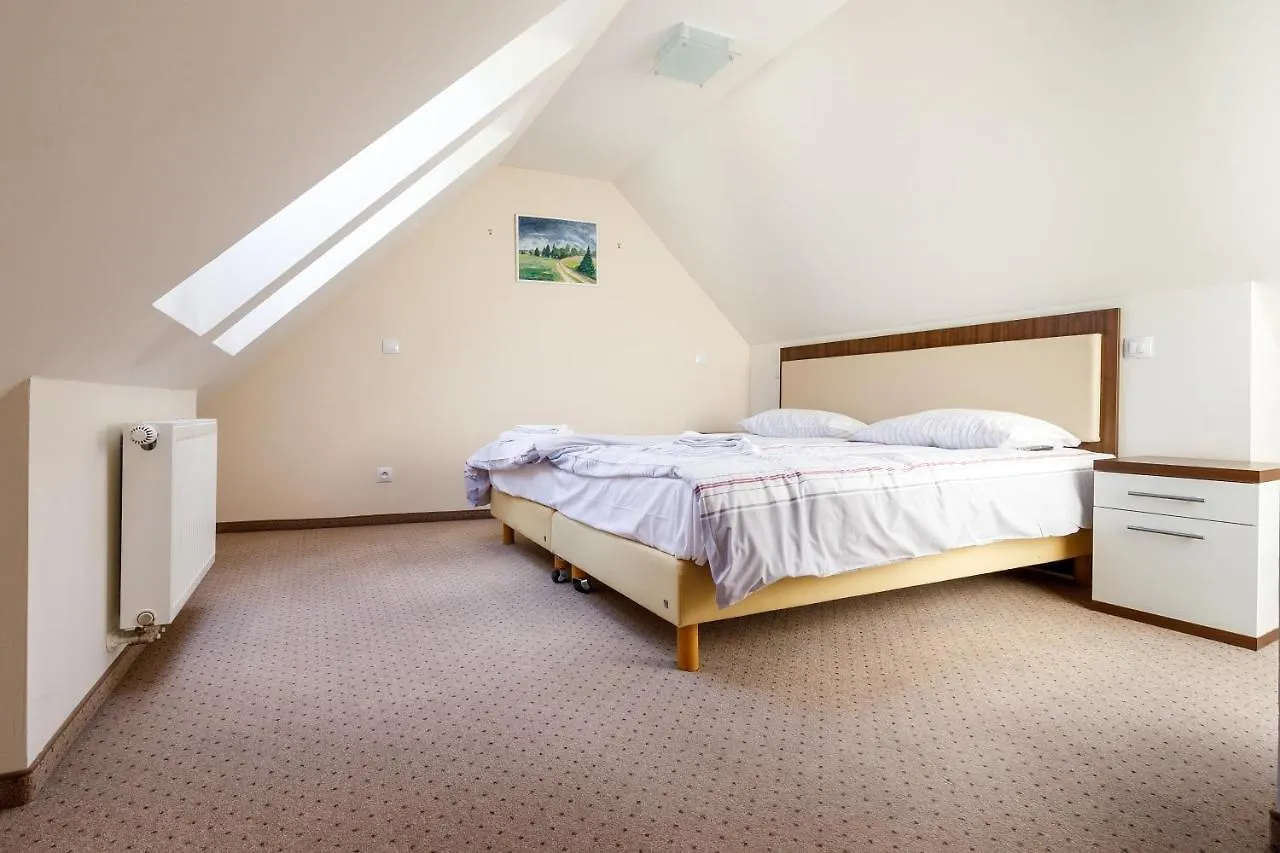 Apartmany U Divadla Karlovy Vary 4*,